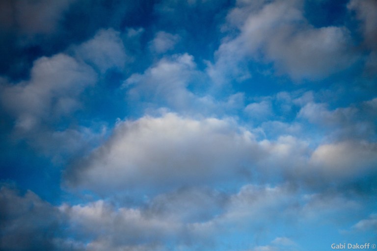 .sobre la creatividad