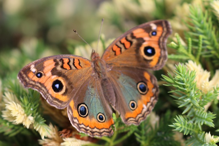 .uno tiene que mantenerse borracho de escritura