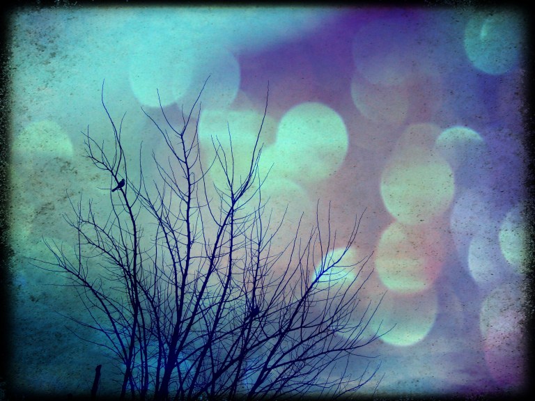 .las cartas más apasionadas del mundo-Apasionadas V