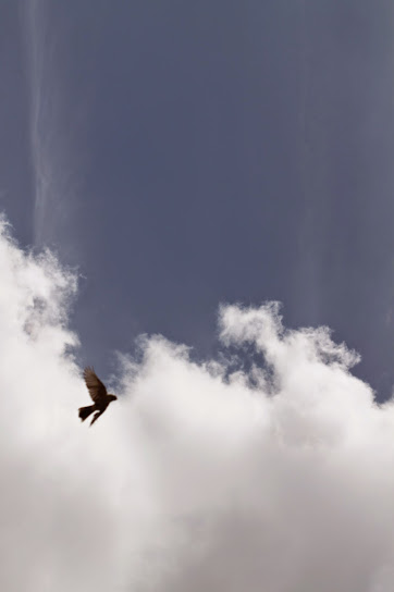 .cómo mirar el cielo