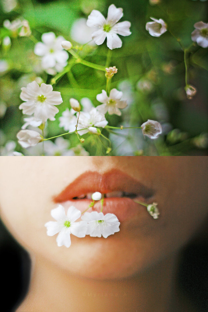 lakme__duo_des_fleurs__by_merixx-d57cug6