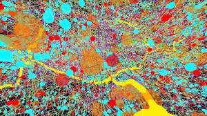 B0009902 Nervous system in a fruit fly larva, seri