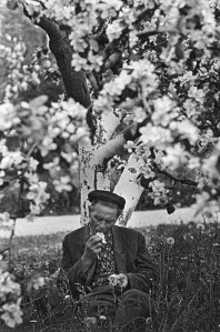 5563902982_a7d3825268_b