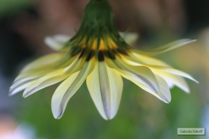 .las cartas más apasionadas del mundo-Atormentadas VI