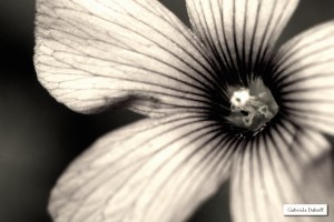 .las cartas más apasionadas del mundo-Celosas III