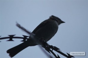 cuando todo se derrumba