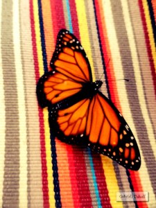 .las cartas más apasionadas del mundo-De Despedida I