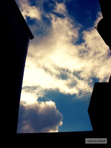 .carta de Adolfo Bioy Casares a Elena Garro