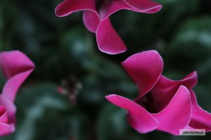 .intimar con el miedo