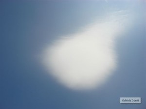 .más allá del olvido