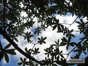 .carta de Albert Einstein a Heidi Born 2