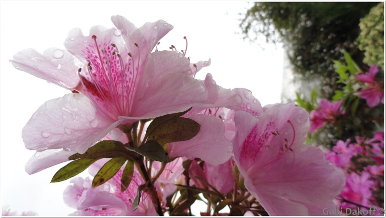 .las cartas más apasionadas del mundo-De Despedida II