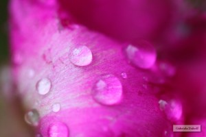 .las cartas más apasionadas del mundo-Destructivas I