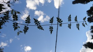 .las cartas más apasionadas del mundo-Dubitativas I