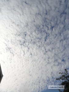 .las cartas más apasionadas del mundo-Dubitativas II