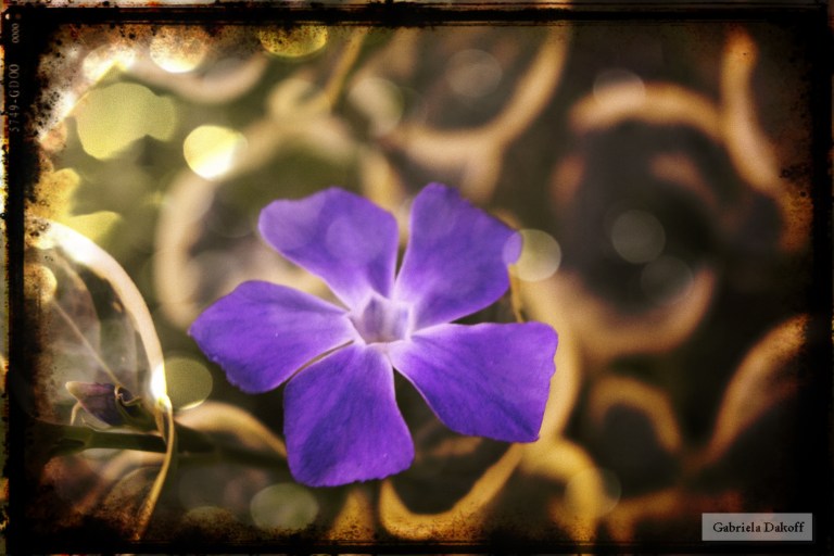 .carta de Rainer María Rilke a su amigo Franz Xavier Kappus