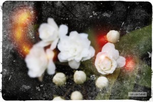 .cartas desconocidas de Julio Cortázar-El Jazz y la Poética