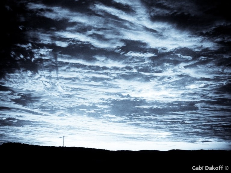 .gansos salvajes-Wild Geese