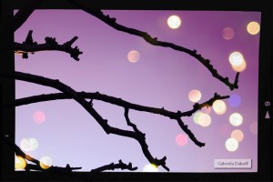 .las cartas más apasionadas del mundo-De Peticiones II