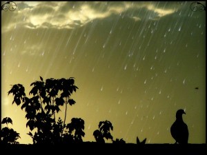 .las cartas más apasionadas del mundo-Entregadas I