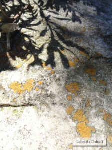 .las cartas más apasionadas del mundo-Entregadas IV