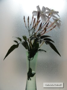 .las cartas más apasionadas del mundo-Nostalgicas I