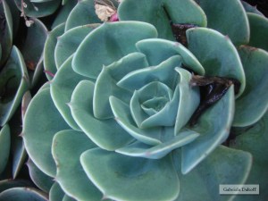 .las cartas más apasionadas del mundo-Nostalgicas II