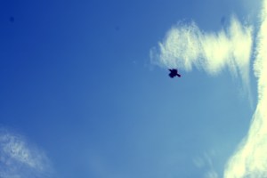 .las cartas más apasionadas del mundo-Obsesivas II