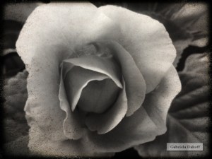 .las cartas más apasionadas del mundo- De Reproches III