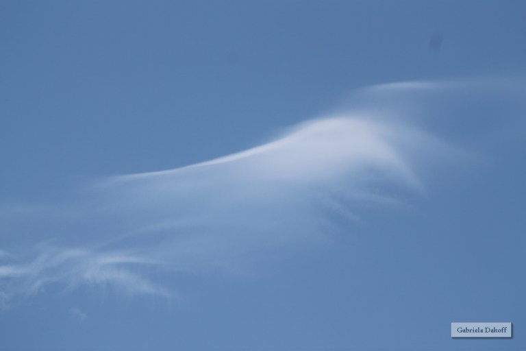 .las cartas más apasionadas del mundo- Perseguidoras II