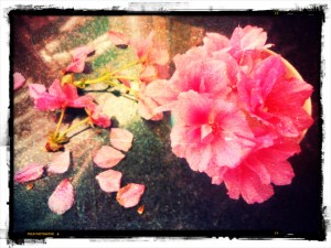 .las cartas más apasionadas del mundo- Románticas I