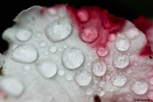 .las cartas más apasionadas del mundo- Románticas V