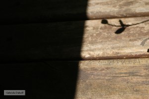 .las cartas más apasionadas del mundo- Sumisas III