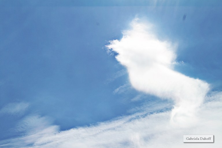 .sueños y Primaveras