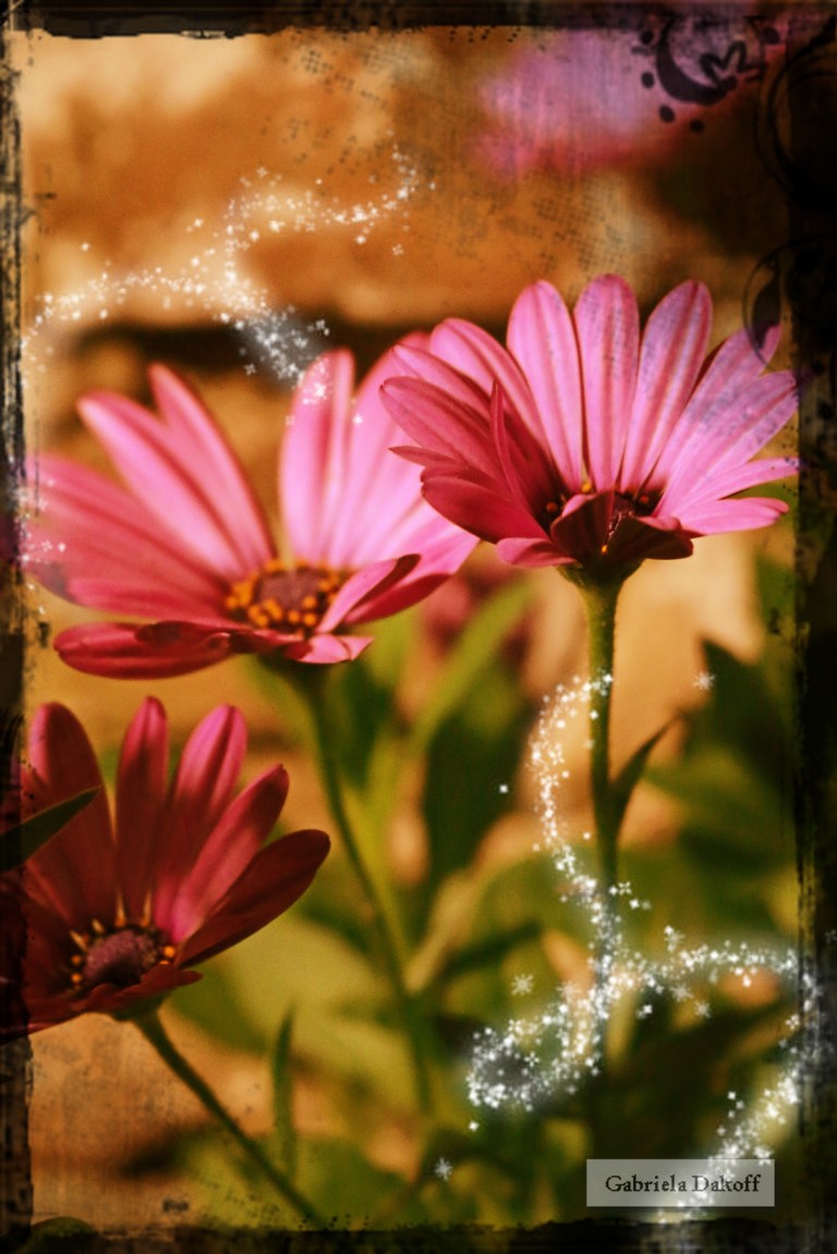 .como una flor cuando respira despacio