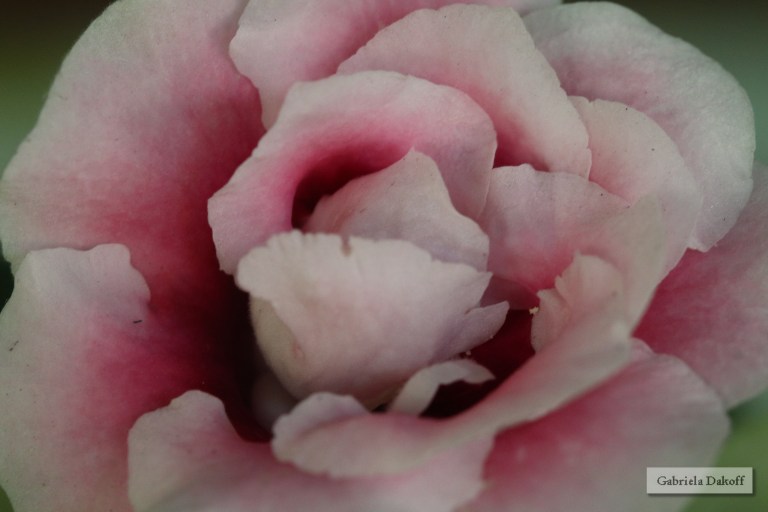 .la cometa aprende a volar