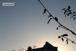 .las cartas escogidas de los grandes compositores-Adieu