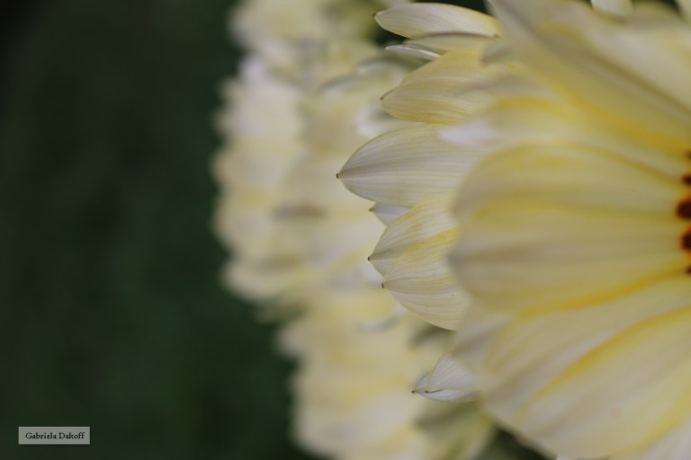 .las cartas escogidas de los grandes compositores-amistades barrocas