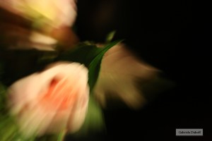 .las cartas escogidas de los grandes compositores- ante la adversidad II