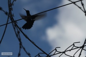 .las cartas escogidas de los grandes compositores-La música y la palabra