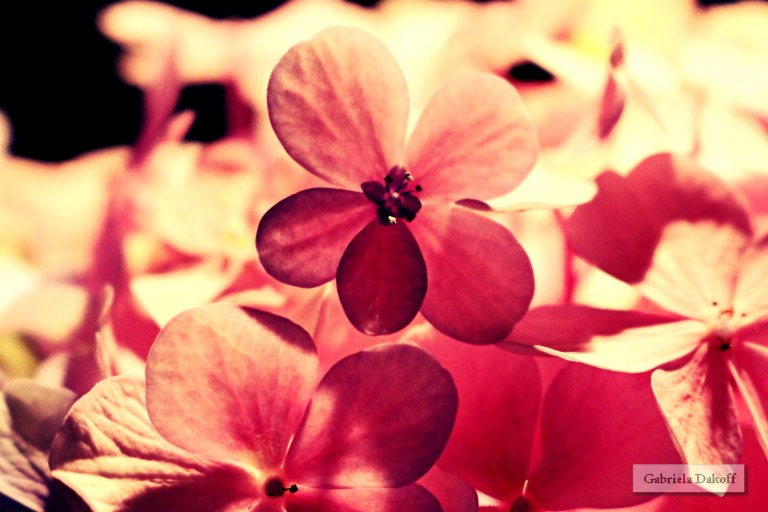 .las cartas más apasionadas del mundo- Tiernas I