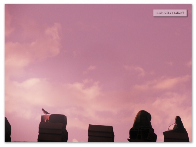 .desde el desierto más profundo