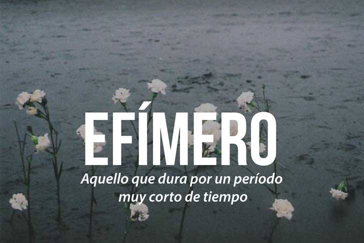 palabras_bonitas_Cultura_Inquieta_