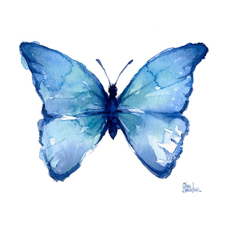 blue-butterfly-watercolor-olga-shvartsur