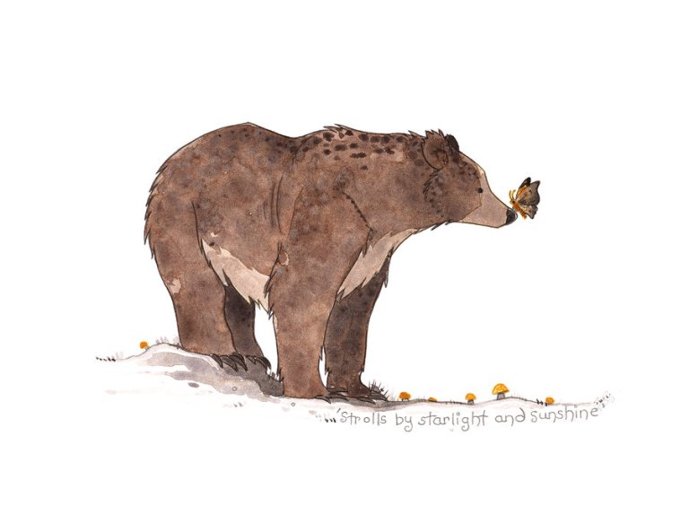 bear_and_butterfly_moth_by_everyonesname