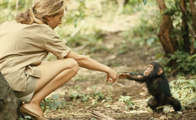 jane-goodall-670x410