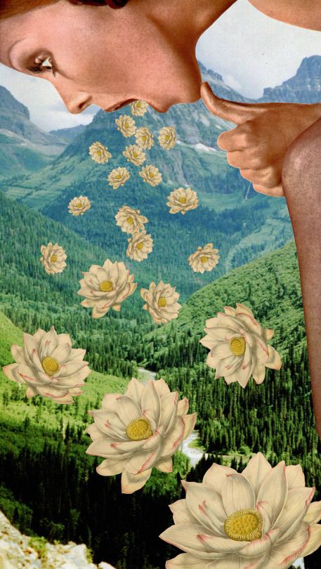 Collage Art - Rosa Desalvo