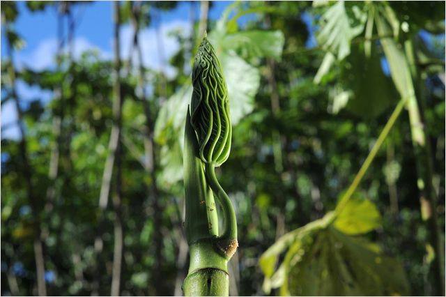 1382395_679862115359409_1815258137_n