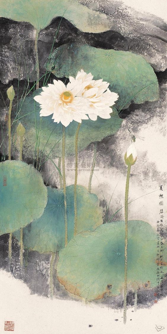 17b9ce7c05246b847b4b8b318d439a56