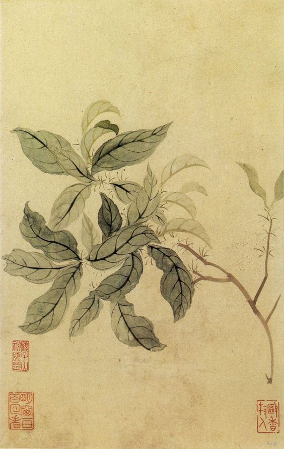 23fd9f88a5ce54a58beafbbe174bee2e